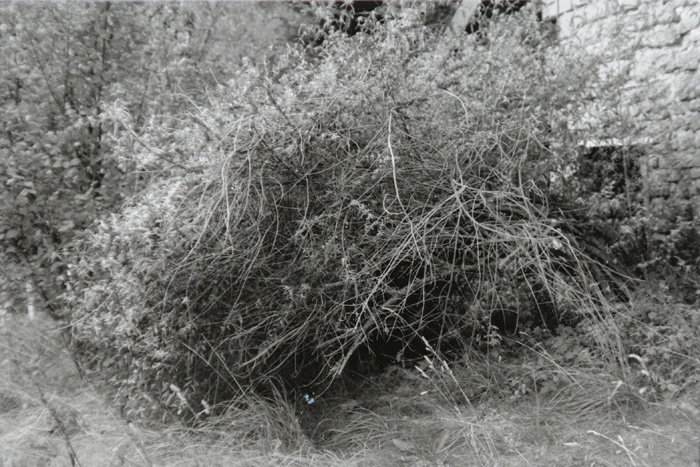 Anne Lise Broyer - Vermillon - 29