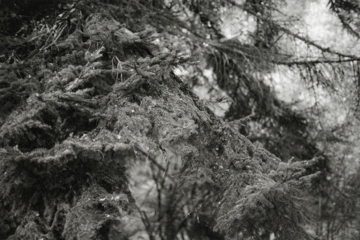 Anne Lise Broyer - Vermillon - 15
