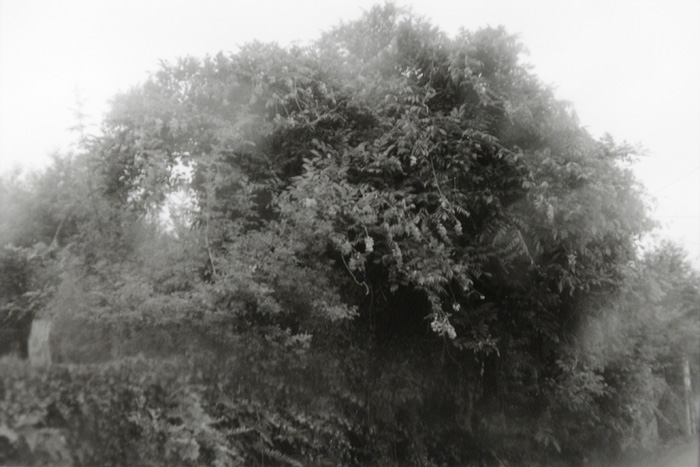 Anne Lise Broyer - Vermillon - 38