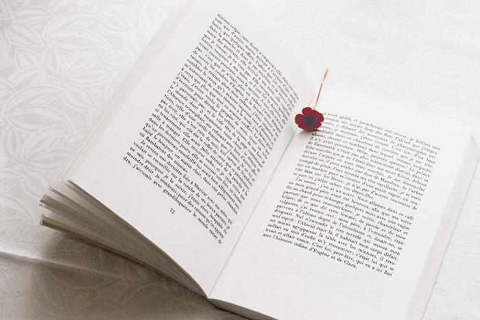 Anne Lise Broyer - Vermillon - 14