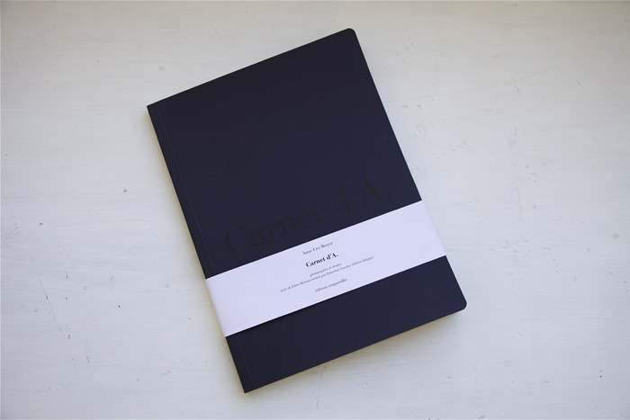 Anne Lise Broyer - Carnet d'A. - 0