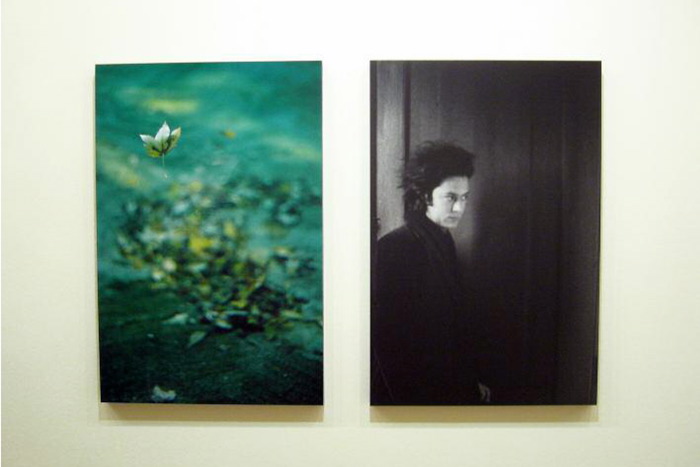 Anne Lise Broyer - Fading - 9