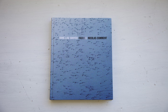 Anne Lise Broyer - Fading - 1