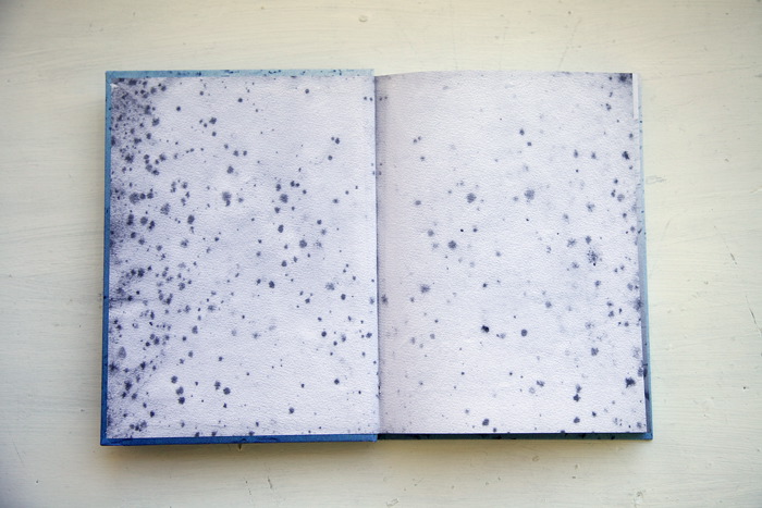Anne Lise Broyer - Fading - 3