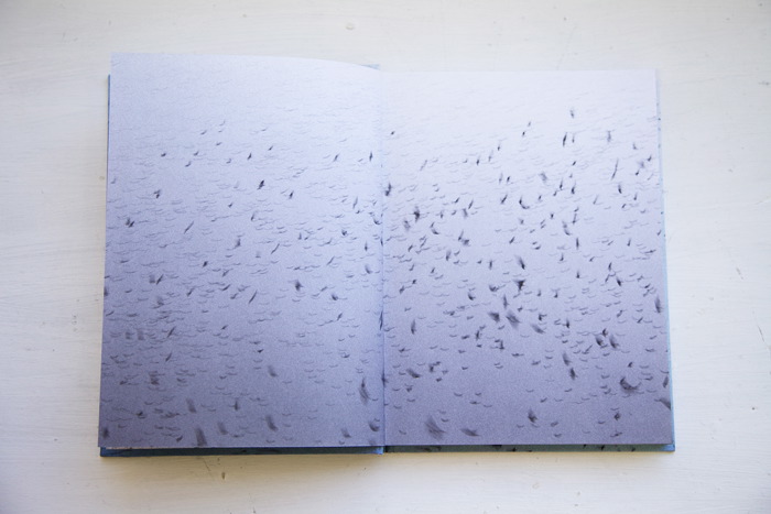 Anne Lise Broyer - Fading - 5