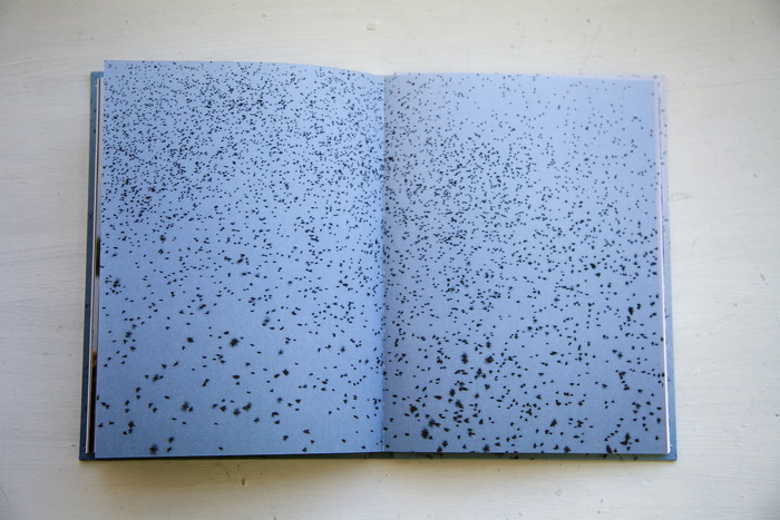 Anne Lise Broyer - Fading - 17