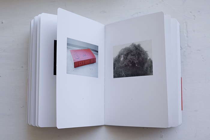 Anne Lise Broyer - Vermillon - 36