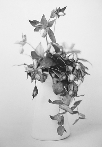 Anne Lise Broyer - Le Langage des fleurs - série en cours - 5