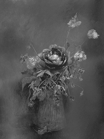 Anne Lise Broyer - Le Langage des fleurs - série en cours - 0