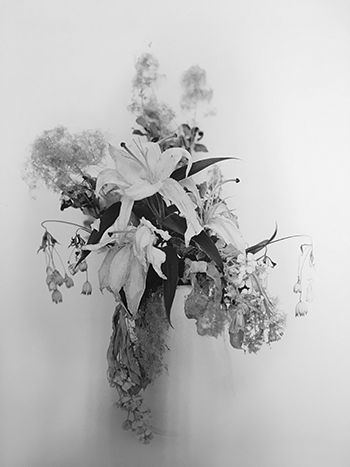 Anne Lise Broyer - Le Langage des fleurs - série en cours - 1