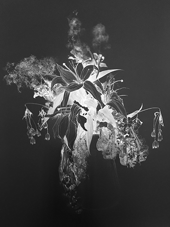 Anne Lise Broyer - Le Langage des fleurs - série en cours - 2