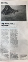Publication