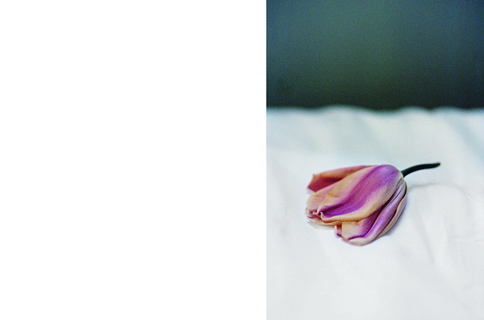 Anne Lise Broyer - Le temps est caché dans les plis d'une fleur - 31